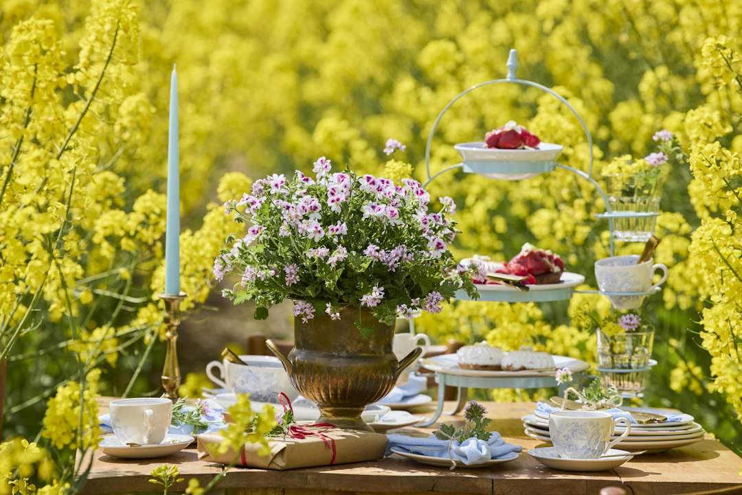 Kaker til piknik – En Smakfull Utflukt